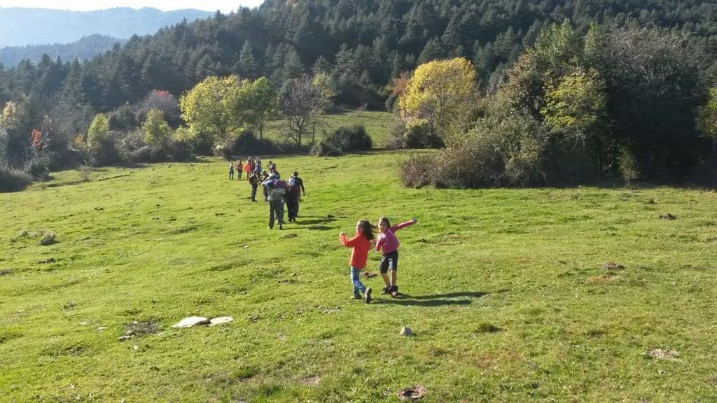 Apartamentos Turisticos Batlle Laspaúles Dış mekan fotoğraf